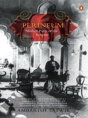 cover image of Perineum